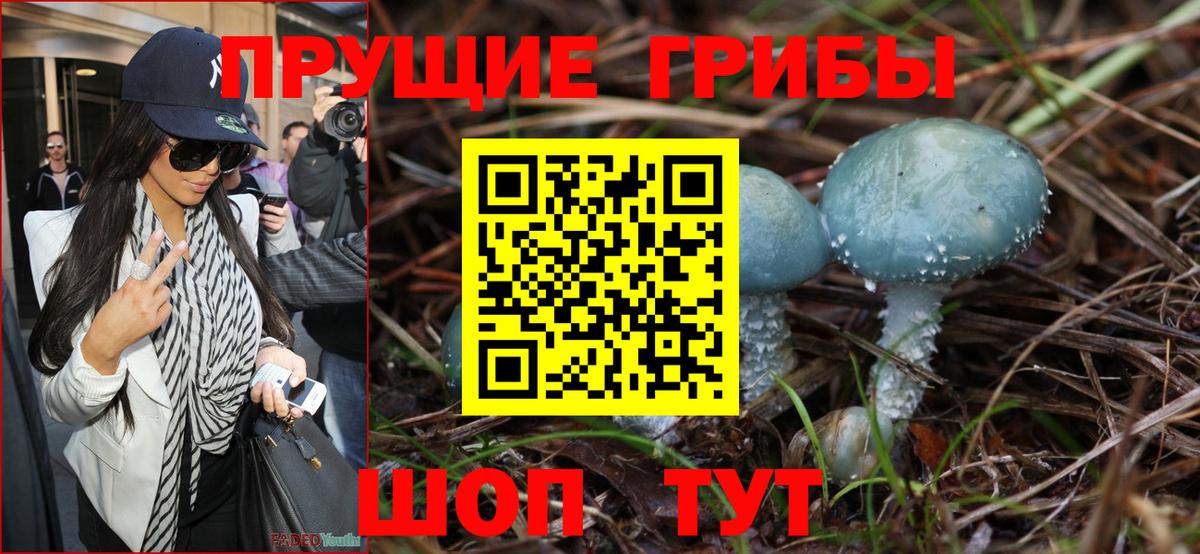 купить наркотик  Вход с VPN  Новоуральск  Галлюциногенные грибы Cubensis  Галлюциногенные грибы GOLDEN TEACHER 